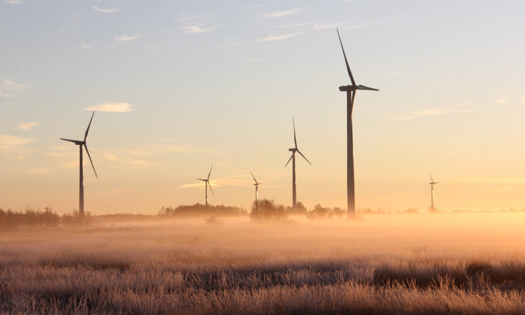 Data-Driven Healthcare: Leveraging Big Data and Analytics for Better Patient Outcomes